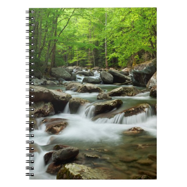Little Pigeon River at Greenbrier Notebook (Front)
