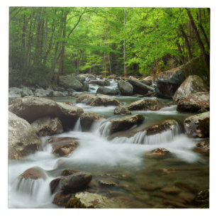 Little Pigeon River at Greenbrier Tile