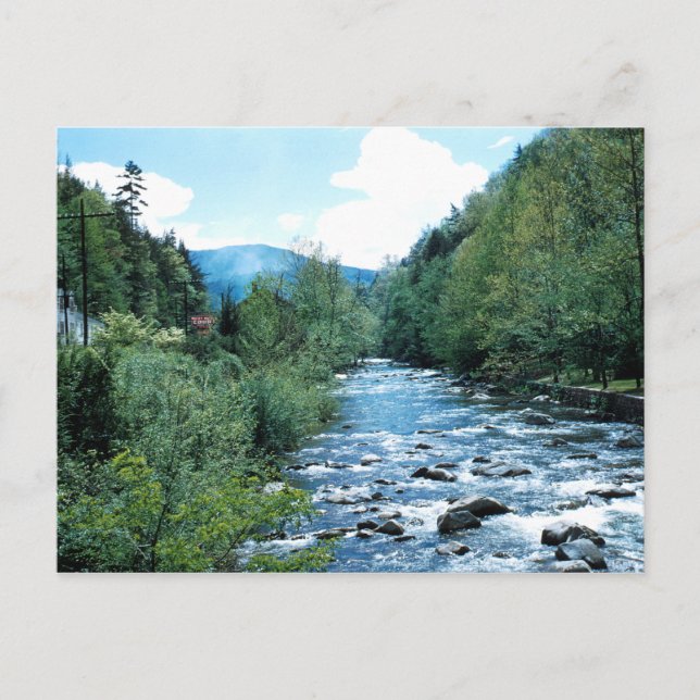 Little Pigeon River Postcard (historical) (Front)
