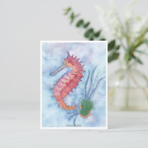 Little Pink Seahorse Postcard