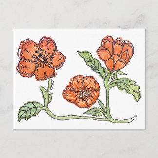 Little Poppy post card