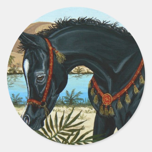 Little Prince Arabian horse foal sticker (Front)