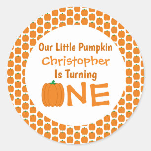 Little Pumpkin 1st Birthday Classic Round Sticker