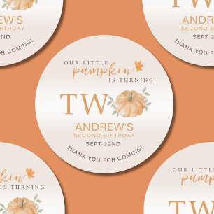  Little Pumpkin Autumn Fall 2nd Second Birthday Classic Round Sticker