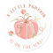Little Pumpkin Baby Shower Sticker Girl
