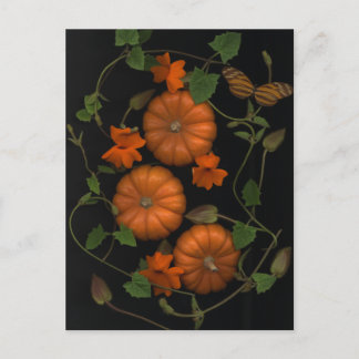 little pumpkins postcard