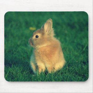 Little rabbit mouse pad