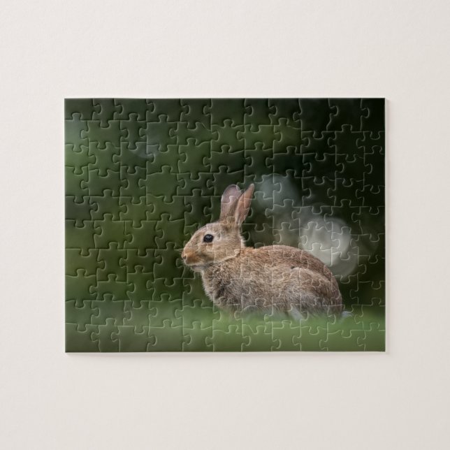 Little Rabbit Nature Photo Jigsaw Puzzle (Horizontal)