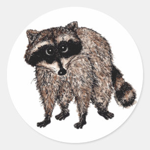 Little Raccoon Classic Round Sticker