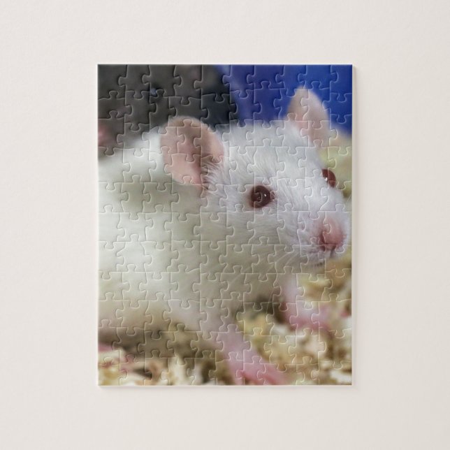 Little rat jigsaw puzzle (Vertical)