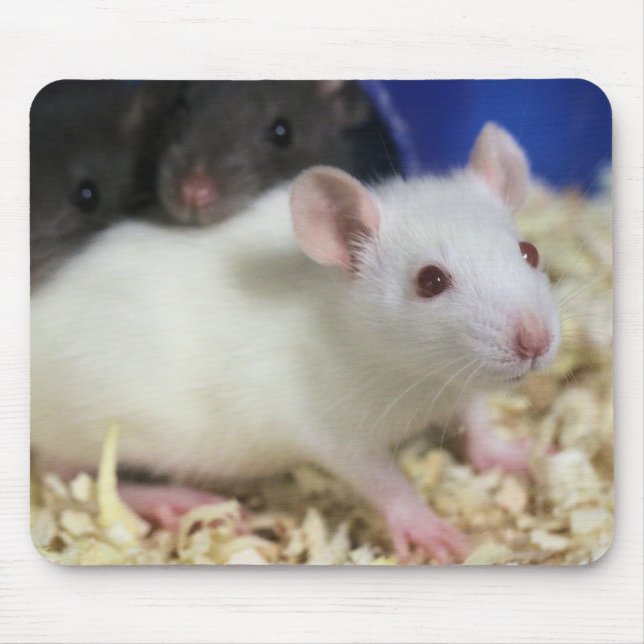 Little rat mouse pad (Front)