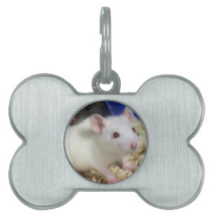 Little rat pet tag