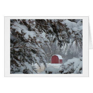 Little Red Barn Framed By Snowy Boughs, Winter