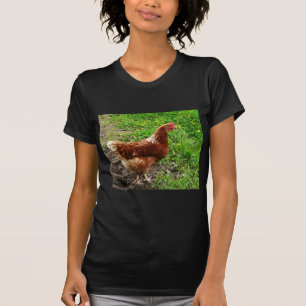 Little Red Chicken - Free Range Egg Layer T-Shirt