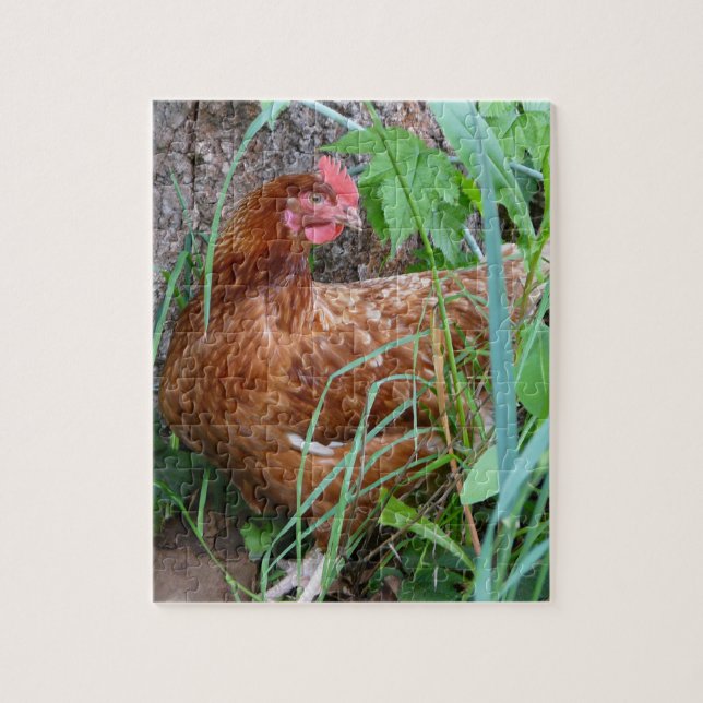 Little Red Hen in the Grass Jigsaw Puzzle (Vertical)