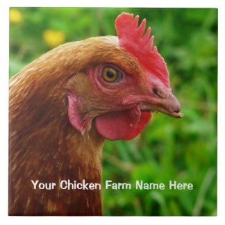 Little Red Laying Hen - RIR or ISA Brown Chicken Tile