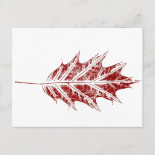 "Little Red Oak" Country Roads Postcard