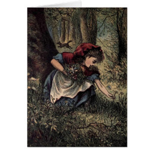 Little Red Riding Hood Picking Flowers