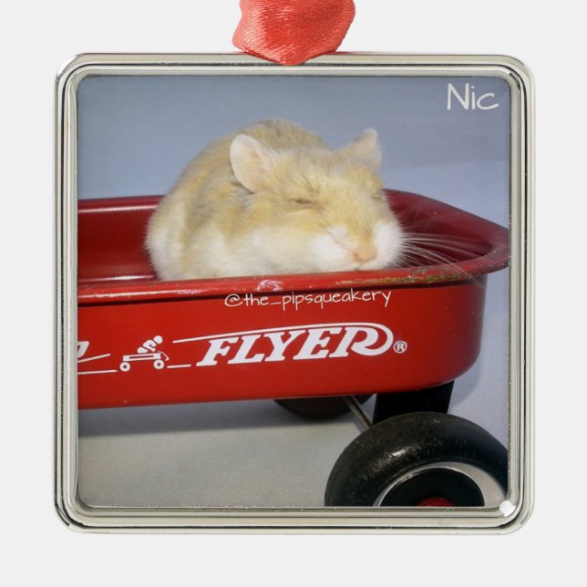 Little Red Wagon! Metal Ornament (Front)