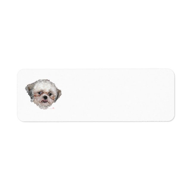 Little Rescued Shih Tzu Head Study (Front)