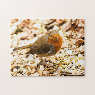 Little Robin Redbreast Jigsaw Puzzle