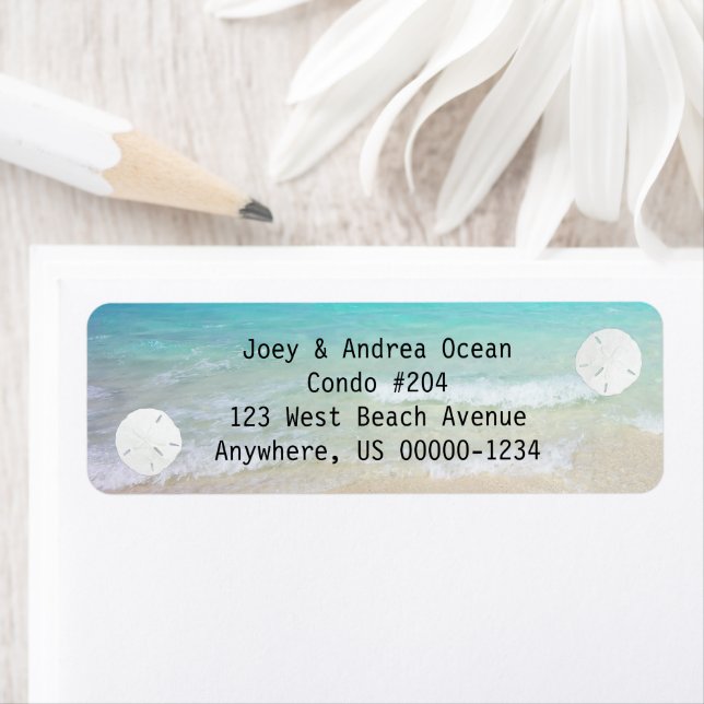 Little Sand Dollars Ocean Background (Insitu)