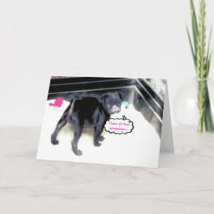 Little Sandy Puppy Valentine's Day Greeting Card