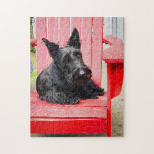 Little Scottie in a Big Red Chair Jigsaw Puzzle