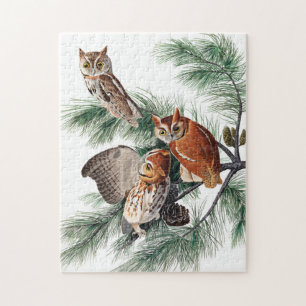 Little Screech Owl by John James Audubon Jigsaw Puzzle