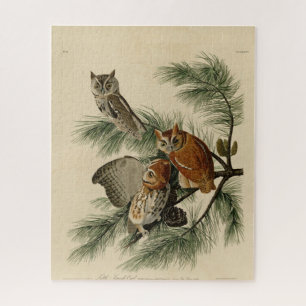 Little Screech Owl from Audubon's Birds of America Jigsaw Puzzle