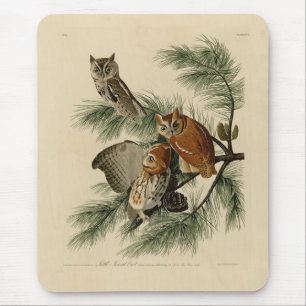 Little Screech Owl from Audubon's Birds of America Mouse Pad