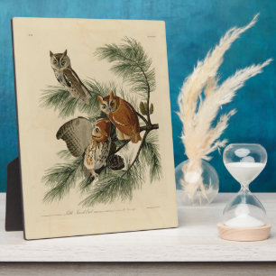 Little Screech Owl from Audubon's Birds of America Plaque