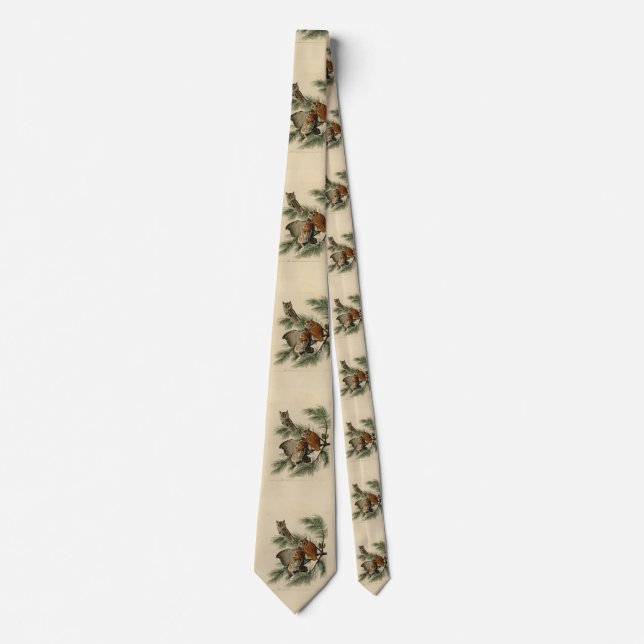 Little Screech Owl from Audubon's Birds of America Tie (Front)