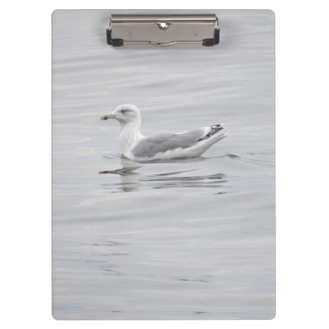 Little seagull clipboard (Front)