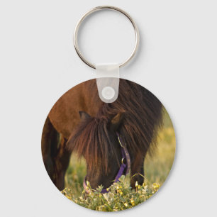 Little Sharni Shetland Pony Keychain