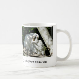 Little (Short Bill) Corellas Coffee Mug