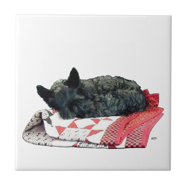 Little Sleeping Scottie Dog Tile (Front)