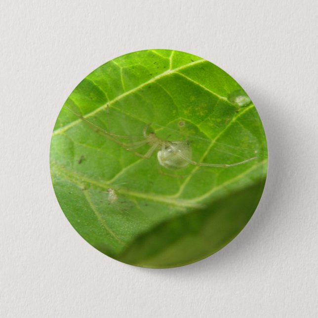 Little Spider Button (Front)