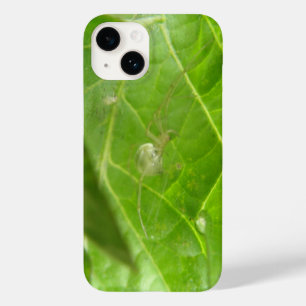 Little Spider Case-Mate iPhone 14 Case