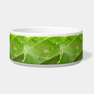 Little Spider Dog Bowl