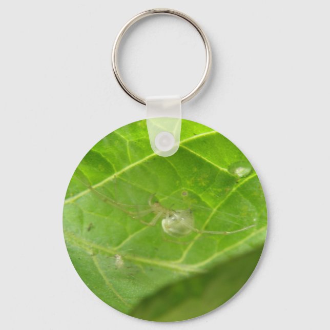 Little Spider Keychain (Front)