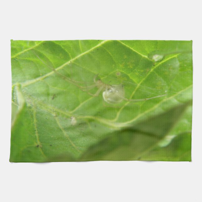 Little Spider Kitchen Towel (Horizontal)