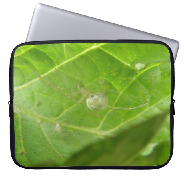 Little Spider Laptop Bag (Front)