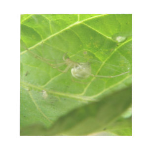 Little Spider Notepad