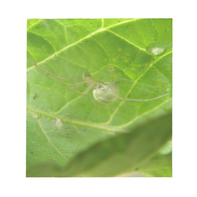 Little Spider Notepad (Front)