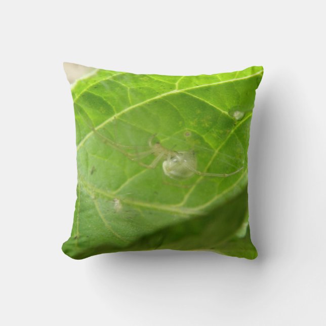 Little Spider Pillow (Front)