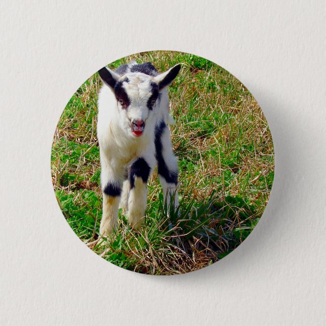 Little Spot 2 Inch Round Button (Front)
