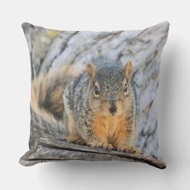 Little squirrel outdoor pillow (Front)