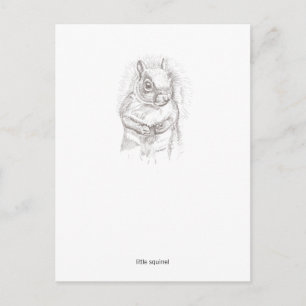 Little Squirrel Postcard