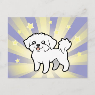 Little Star Maltese (puppy cut) Postcard